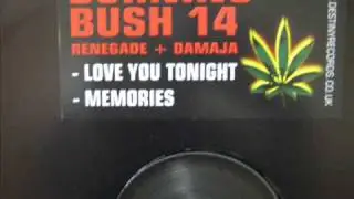 Love You Tonight  - Renegade + Damaja