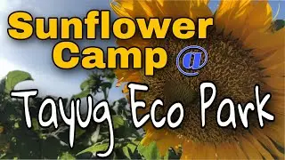 TAYUG ECO PARK | AMAZING TAYUG