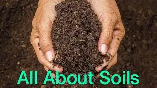All About Soils- Curriculum Based Test / PEP Grade 6
