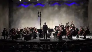 Chamber Orchestra Performs Skylife  David Balakrishnan