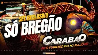 NOVO CARABAO 2026 I O M&Aacute;XIMO DO MARAJ&Oacute; I S&Oacute; BREG&Atilde;O 2026 I DJ DALTON DO CARABAO NOVO 2026