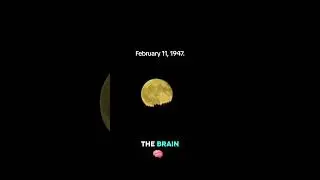 February 11, 1947 - Walter Freeman in Buffalo, NY