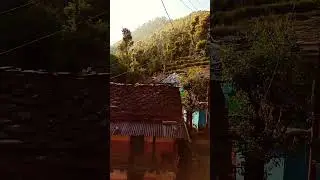 🌱🌿🌱⏩▶️⏪          #blogger #chamoli #uttarakhand #dailyvlog #mountains #shorts #shortvideo #heaven