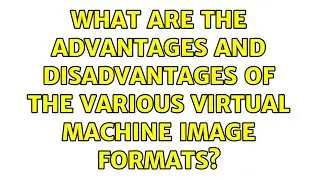 What are the advantages and disadvantages of the various virtual machine image formats?