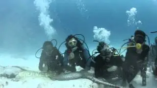 Tiburon TORO muerde cámara - grupo Familia Vazquez