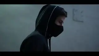 Alan Walker - Airinum mask