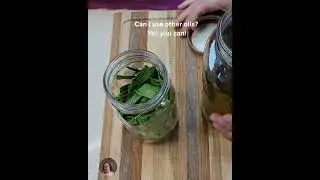 Simple Plantain-Infused Oil Recipe 🌿✨ www.heartofherbs.com