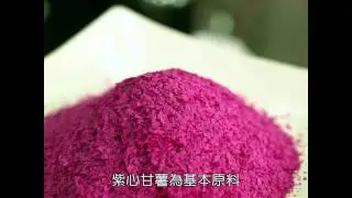 20臺旺食品
