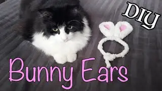 DIY Easter Bunny Ears