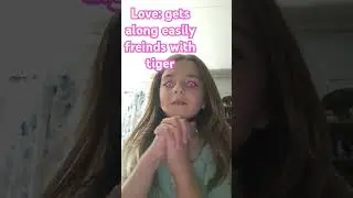meet the b.t.l.l. group (butterfly tiger love laser)