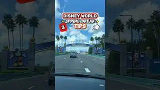 3 Disney World Spring Break Survival Tips 👀😮 (Do This in the Parks)