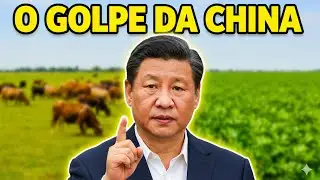CHINA BATE RECORDE! Carne EXPLODE e Alerta de CAIXA CURTO no Agro ASSOMBRA o Produtor AGORA!