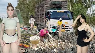 close-up of duck running technique to remote lands to escape floods everywhere