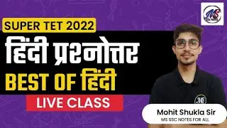 SUPER TET HINDI CLASS | SUPER TET HINDI PRACTICE SET | HINDI IMPORTANT QUESTIONS | MS SSC NOTES