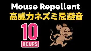 ネズミ忌避音（ネズミ撃退音）Mouse Repellent　１０時間【１６ｋHz&rarr;１８ｋＨｚ&rarr;２０ｋＨｚ】
