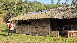 Turning back the wheels of time, A successful single mother builds a new life in the deep forest.