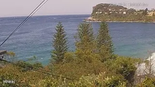 Matt Whaley Live Stream