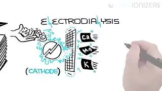How Does A Water Ionizer Work