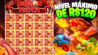 EPIC!! MAXIMUM LEVEL OF R$120 IN DRAGON HATCH!