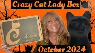 BLACK CATS Crazy Cat Lady Box October 2024 #catladybox #catlady #subscriptionbox #cats