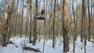 WI Antlerless only Holiday Hunt