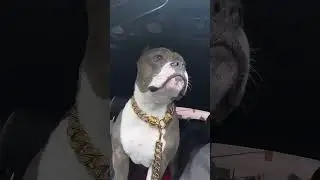 ##shortsfeed