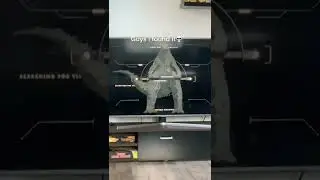 no d*g no balls