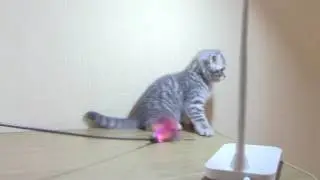 ьт