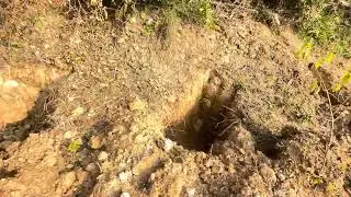 Part - 3 Teak Plantation - Land Preparation 