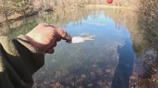 trash pick up and fishing Brass Castle NJ