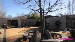 Museo del Bonsái - Alcobendas
