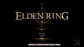Switching from GraceBorne 1.10 to ELDEN RING 1.12.2 to play ONLINE AGAIN + DLC