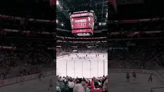 The Exciting World of NHL #gopanthers