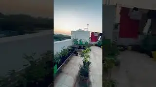 Silence n the mid of Chaos!!! #shorts #vlogs #terracegarden #plantlovers #tamil #gardening