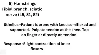 Hamstring reflex (hamstring jerk) - Deep tendon reflex