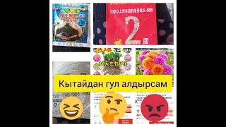Кытайдан гул алдырсам кызык эле болду🤭😆😔😡бирок үмүтүм чоң,буйруса жашап кетер