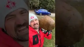 Камень идеально подходит для проверки того, замерз ли пруд.