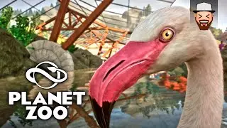 Uma Linda Cobertura para os Flamingos | Planet Zoo #05 | Gameplay pt br