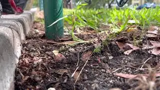 Axial scx24!!! Homemade ground anchor for scx24 working needs more mods!!!🤪🤩😅