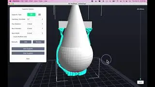 FlashPrint   Supports and Rafts