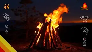 4K campfire in Arctic coastal sunset 🔥 100% authentic sounds