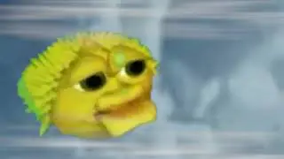 Yellow Singing Pufferfish meme
