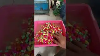 Nagkaroon ng Kulay ang mga Tanks ko! Trisero Lipat Tank Muna 💪🏻🐟