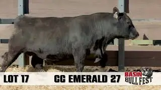 Lot17 CCEmerald27 BBF24