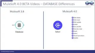 Mule4 Database Connector  Mysql