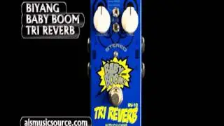 Biyang RV10 Tri Reverb