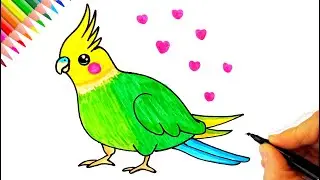 Muhabbet Kuşu &Ccedil;izimi ve Boyama 🐦🎨 Sultan Papağanı &Ccedil;izimi - Budgie Drawing and Coloring 🐦🎨