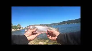 big bear lake by th floating potty