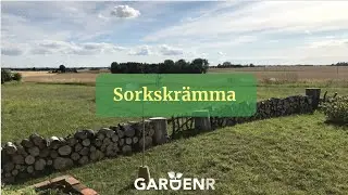 Sorkskrämma - Trädgårdshacks med GardenR