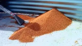 Walinga Industrial Vac